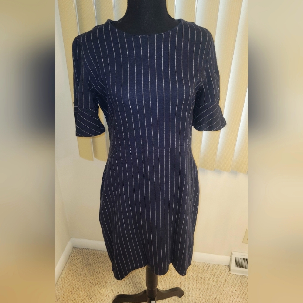Blue pin striped Banana Republic  knee length dress